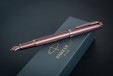 Ручка перьевая Parker IM Royal Monochrome Burgundy